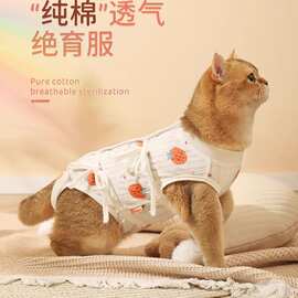 猫咪绝育服母猫手术服衣服透气戒奶服断奶服公猫防舔术后宠物猫猫
