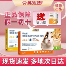 ؈xwһwx΄󌙐xșط