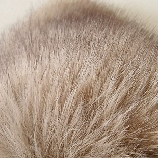 ���S�F؛��ɫ�º���ë�п�Ⱦ����bñ���o������ë�q���|��Ь���l