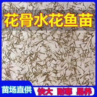 �ͺ������X�~��Ұ���Ї��~�~���S�X�S�X�Lβˮ���P�����X�׻�����