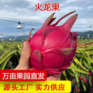 �a��ֱ�l��һ̖�t�Ļ��������r�������ЋD�t���ی�ˮ��һ�����l