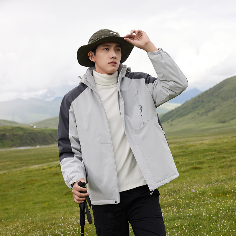 수컷 밝은 회색