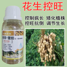 花生矮壮素非复合肥膨大素生根剂控旺药花生粒粒饱增产专用叶面肥
