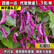 üN춹itϱⶹNݾGü߅