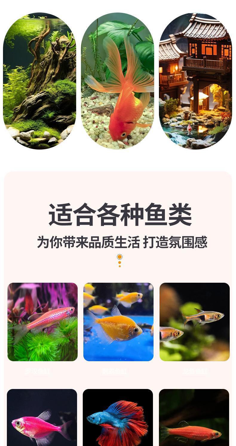 025e65ce-8eba-46c5-823e-e5ea5887936e.jpe