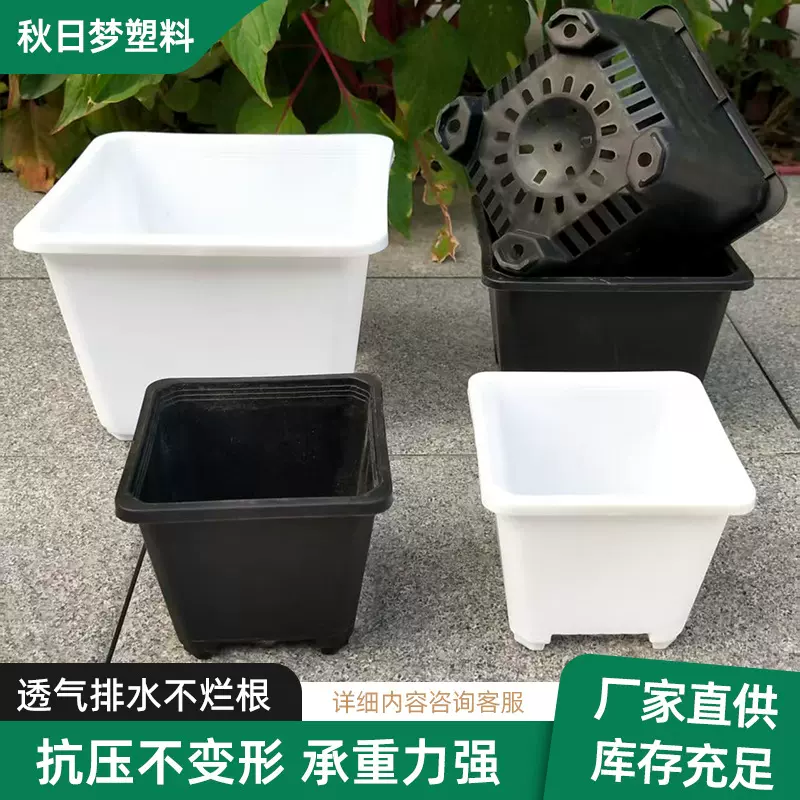 景天盆跨境种植多肉育苗盆塑料花卉花盆防烂根工厂透气韩式黑方盆