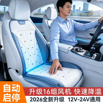 Dual Cooling Effect Negative Oxygen Ion Ventilated Car Seat Cushion for Summer, USB-Powered Dual-Core Refrigeration Ice Silk Cooling Pad