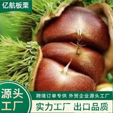 �Ї� &ldquo;���l&rdquo; ����ֱ��ȫ��40-60/30-40/40-50KG