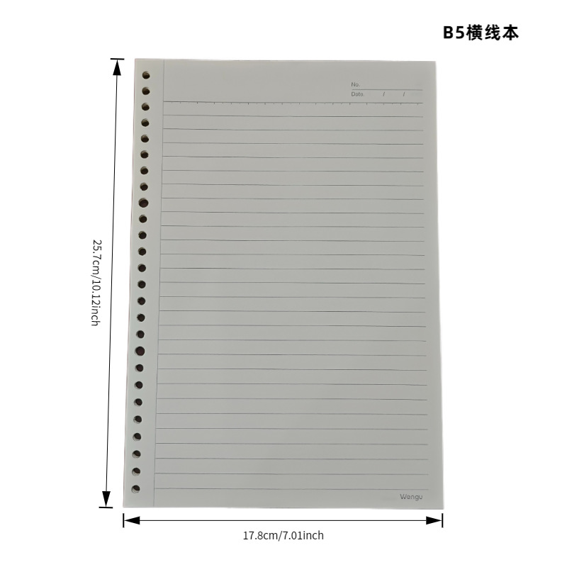 B5 línea transversal para el núcleo 60 / libro