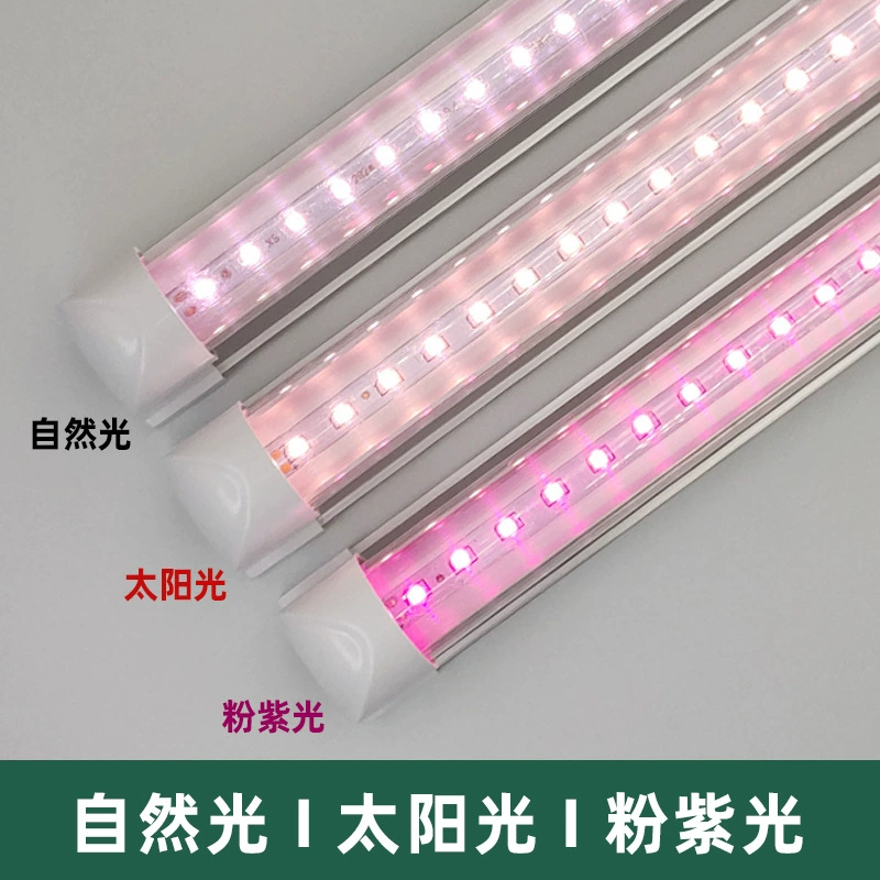 Солнечная LED-растительная лампа для растений, подсветка, комфортный спектр света