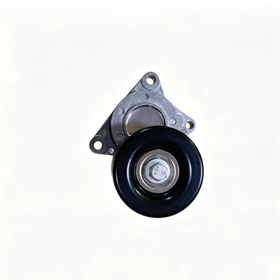 11955-Ja00C Tensioner Remen gəricisi