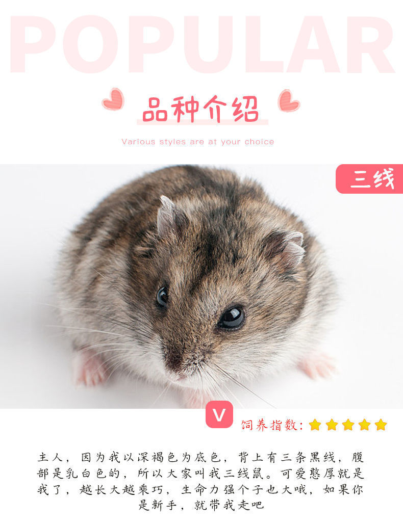 60626ae4-21c7-4118-99c3-d25baa5ec1d1.jpe