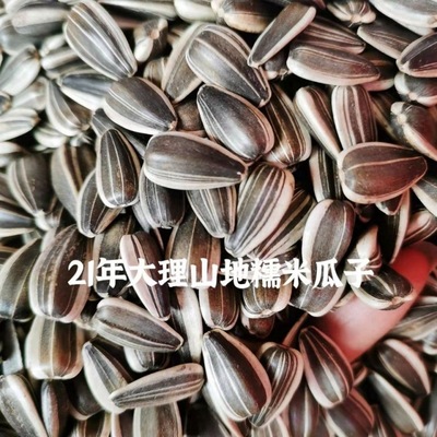 21 Dali Alpine Glutinous rice melon seed Farm Iron pot Fry melon seed Original flavor Raw seeds 2/9