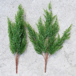 ���ܼ��ɰ������ɘ��~���ݵ����~���°ؘ�֦�辰�bGֲ�~��