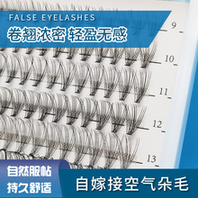 �ӹ����Ƴ��ڽ�ë�S�����l10D20D��φδ؝��ܶ�ٽ�ë�~β��β