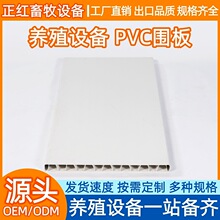 正红畜牧设备PVC围板 母猪产床保育床围板 养殖用中空板