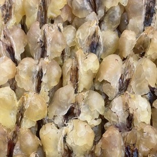 �����L��ɽ��ѩ���ͺ���ѩ�����Ʒѩ����ݰl�����|����һ�����l