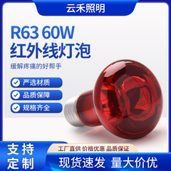 R63 60W赤外線電球ランプ電球孵化動物加熱暖房人体宇宙室理学療法電球
