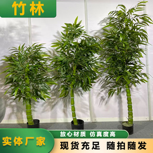 �S�����l������~������쾰�^�p�b������G����������G���辰