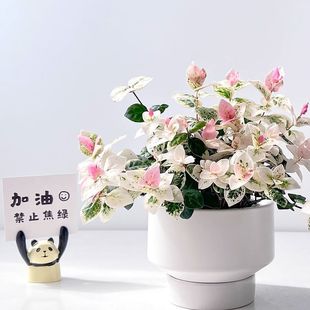 ��ʻ��~�j�����S����~���m�҃ȾGֲ�k��������Ȥζ��������ֲ��