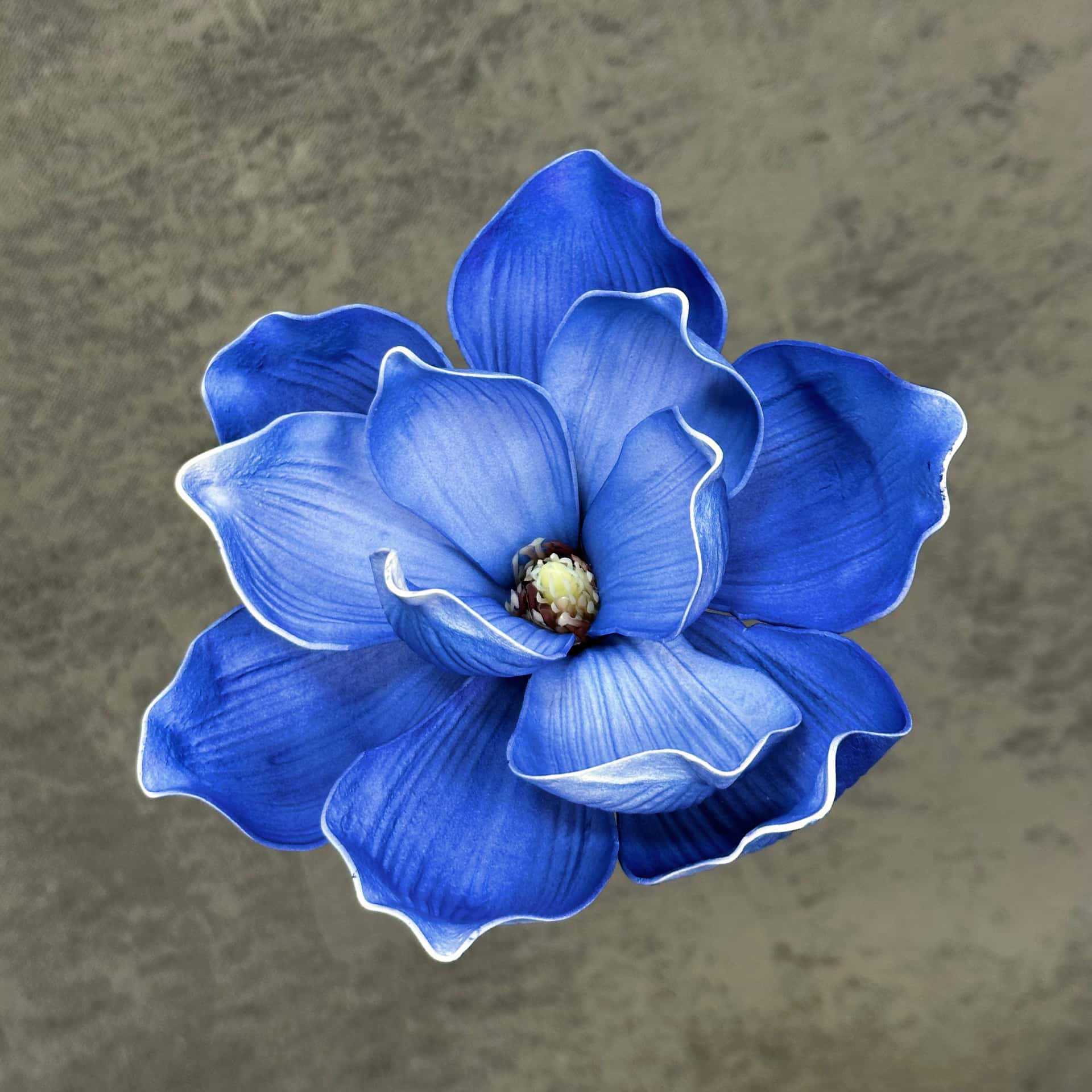 Flor de simulación transfronteriza EVA cabeza de magnolia 13cm tacto tocado kapok decoración decoración decoración flor falsa al por mayor