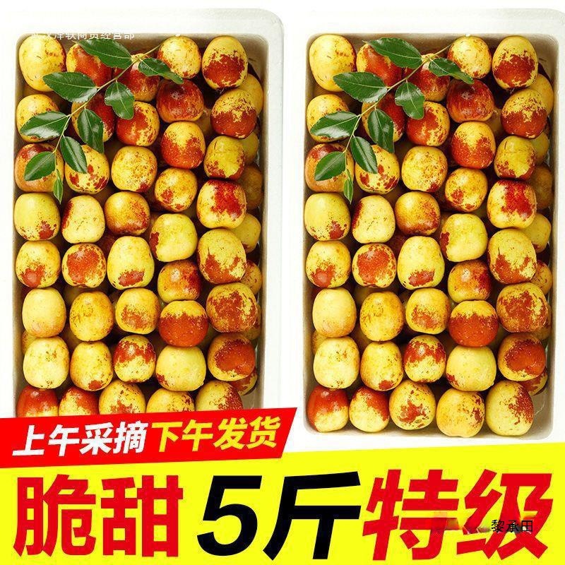 山东沾化冬枣应季新鲜水果大脆甜超青红批发非大荔斤