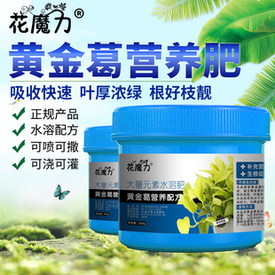 �S������àI�B�ʴ��~���~�G�}�辰ͥԺ�҃ȵ���ֲ���ļ��B�o����