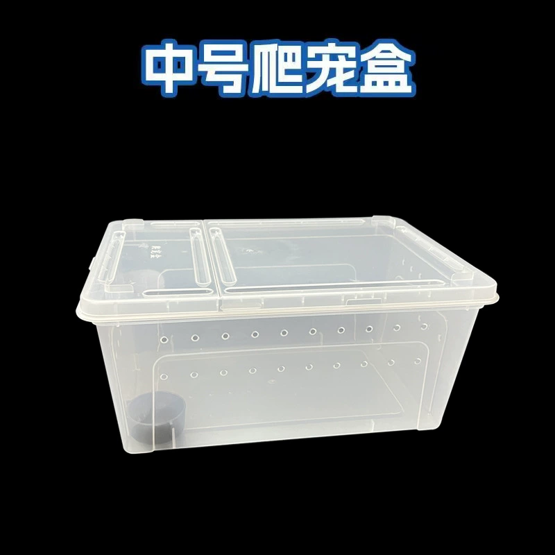 Коробка для разведения рептилий