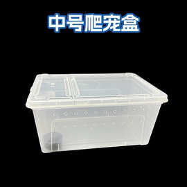 爬虫饲养盒爬宠箱活物蚕宝宝蜘蛛角蛙蛇蜥蜴蜗牛宠物蛇昆虫乌龟缸