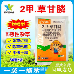 ����2�ײݸ�좳��ݠ����� ���@�ĵ��s���B�����s�ݳ��݄���Ʒ�rș