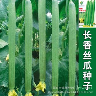 �L��z�����νz����z����z��ԭ�b�ļ��߲˷N�Ӵ�ȫ�˷N�Ӵ����l