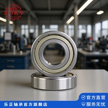 ��݁��������S��6308-2Z 6309 6306 6307�߉������D��������S��