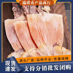 �O�������~�����~���l�����~�����r�}�����~�����F����羳���