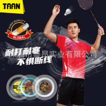 ̩��TAAN��ë���ľ��߾ۺ������w�S�ʹ���Ӗ��������P��200m����