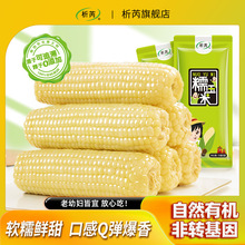 ���|��ԭ�a�����ǖ|�����Ŵ���װ�10�� ��ճ���r����� ܛŴ����