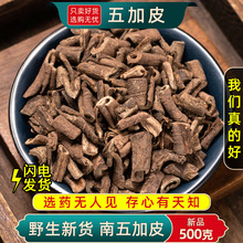 野生五加皮中药材500克/250/100g南五加皮正品五谷皮根片根皮新货