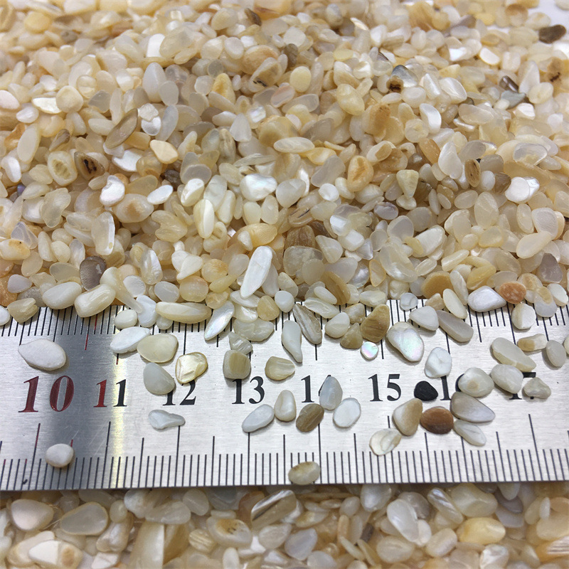 供应彩色美甲晶石 台面填缝 室内墙面 装饰画用贝壳晶石