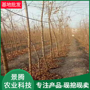 ��Ǘ����l 2���� 3���� Ҏ���Rȫ �@�־G�� Ԫ���� ��Ǘ�