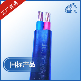 �����|�S��ֱ�N����늾����Ͼ�BVVB2*25�|�����b��늾��Դ��