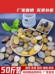 50���Z��ʯ�·䁵�ͥԺ���@�쾰��Сʯ�^�껨ʯԭʯ�Zܛůʯ