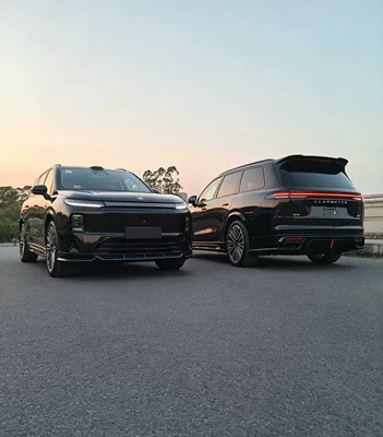 Side Skirts, Rear Lip, Rear Wing, Big Surrounded - four-piece-set-with-painted-finish