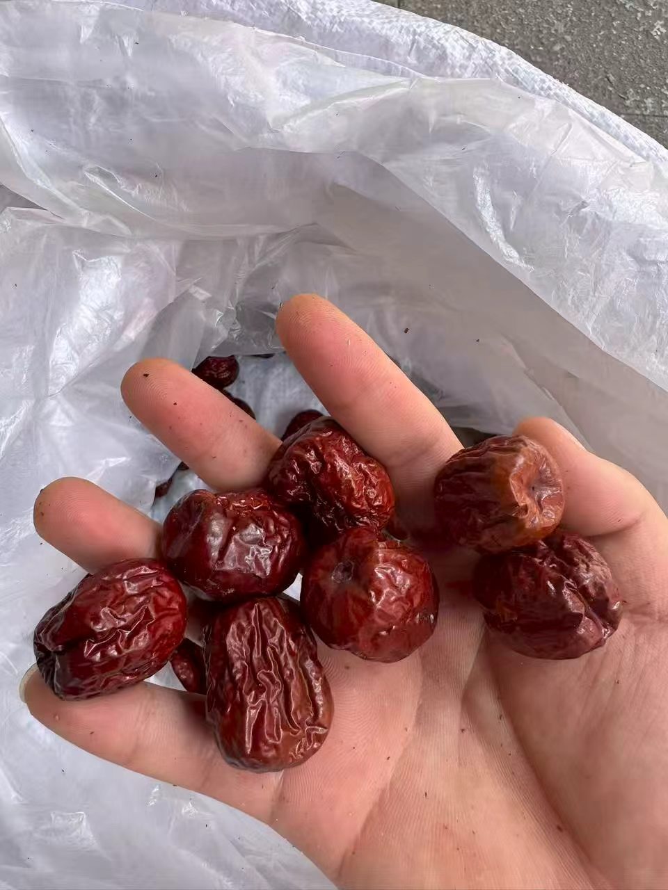 Dried Red Dates Hong Zao 1000g Xinjiang Jujube for Soup Tea and Congee in use