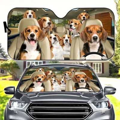 Sun shade — to Install and Store - 130cm70cm-bige-dog