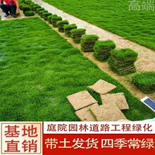 ��Ƥ���ƺ�������e�����@�ļ�����X��̨�����R����ͥԺ������Ƥ