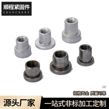 厂家直供圆形焊接螺母六角铝型材不锈钢配件T型T帽紧固件非标