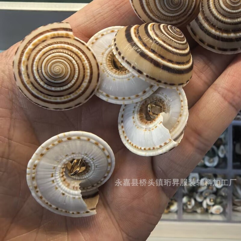 Chanel-Style Shell Buttons Snail Round Flat Shell Women's Coat Trench Coat Unique Niche Buttons Conch Buttons