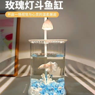 2025�¿�~��С�;W�t�����׿͏d�����^�p�~�쾰�k���ҹ�λ�~��