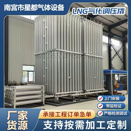 燃气设备;化工成套设备;往复泵