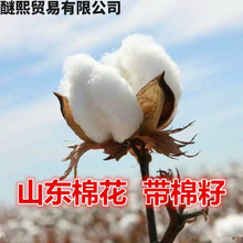 юrԮa޻Y޻ɽ|Fժ޻ԣ