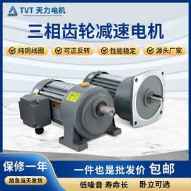 TVT天力三相380V齿轮减速电机卧式变频调速马达200W400W750W1500W